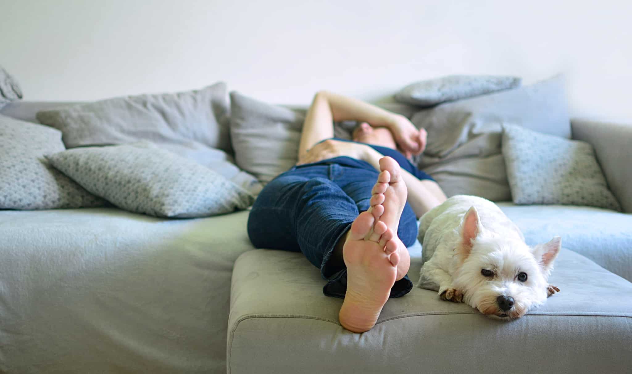 cão e dono no sofá em casa