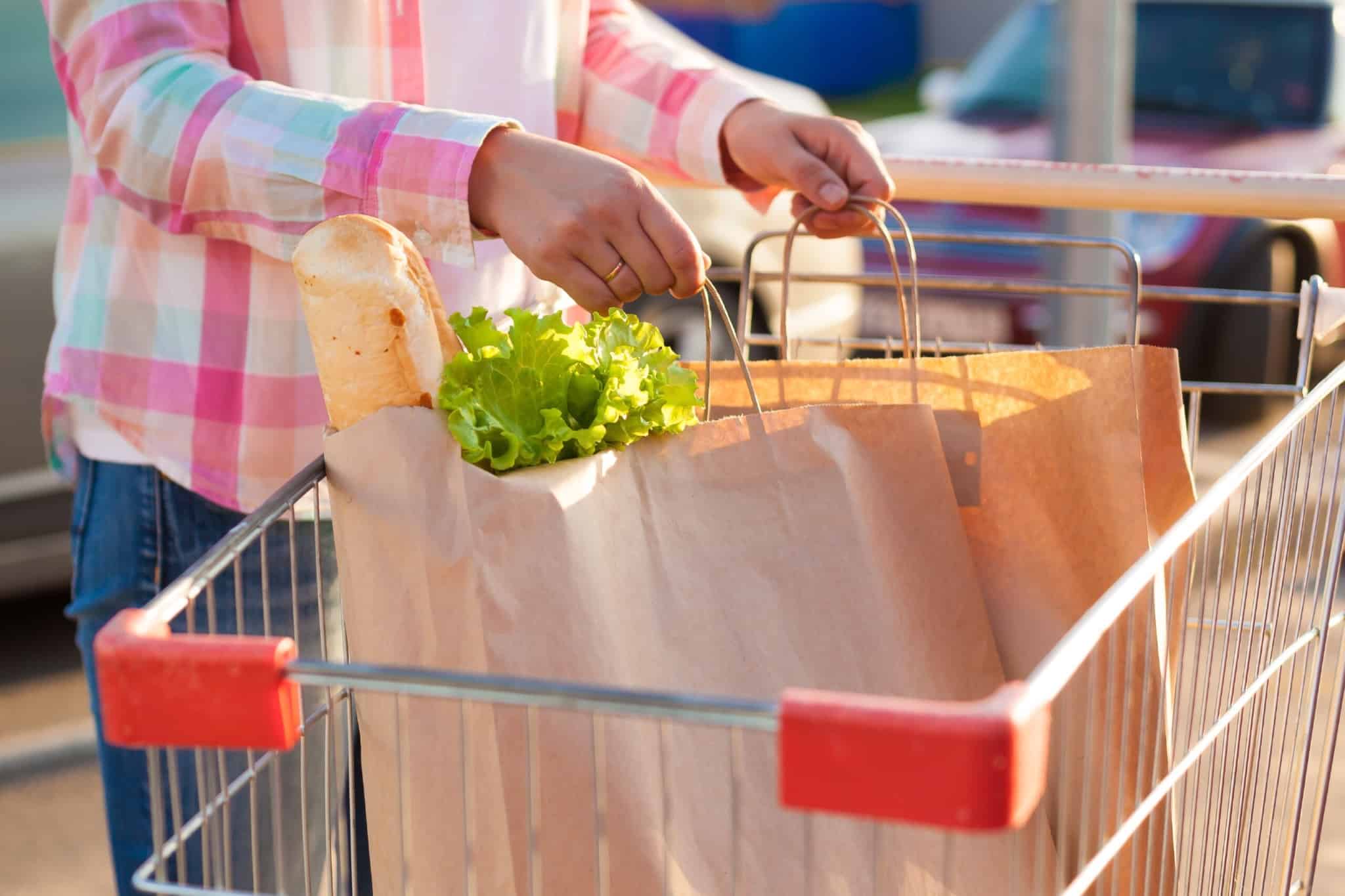 pessoa com carrinho de compras com dois sacos